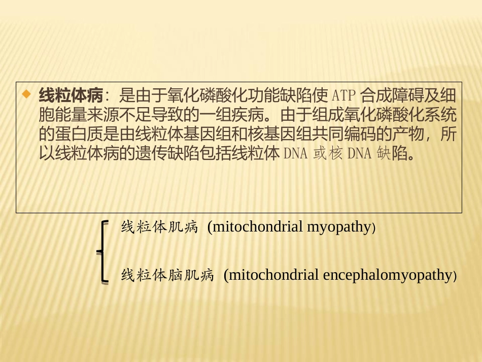 线粒体脑肌病培训课件_第2页