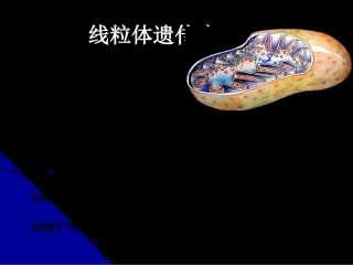 线粒体遗传病解析