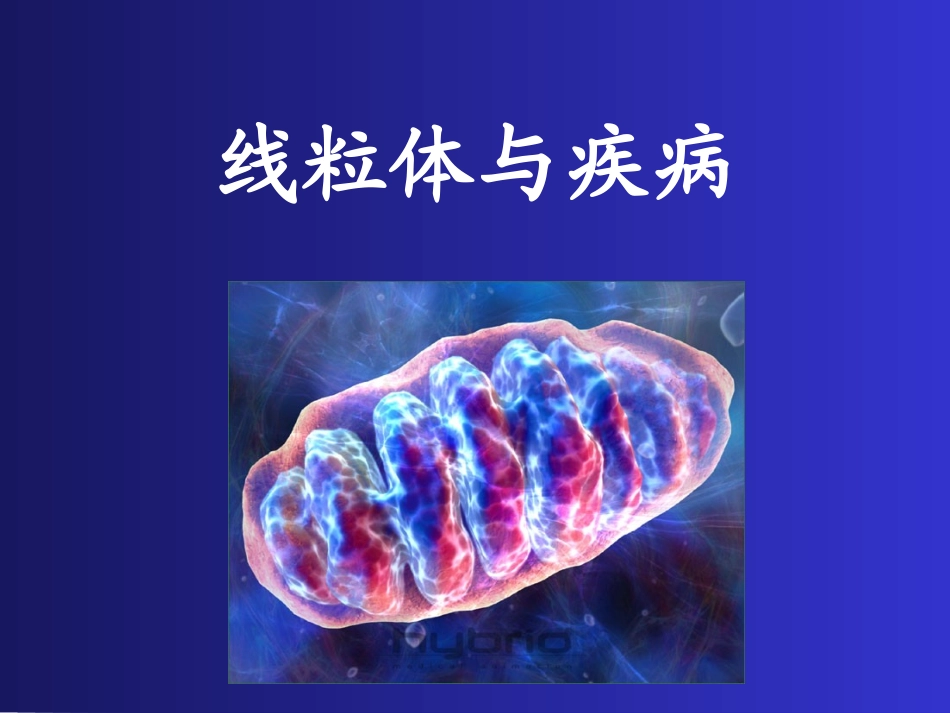 线粒体与疾病_第1页