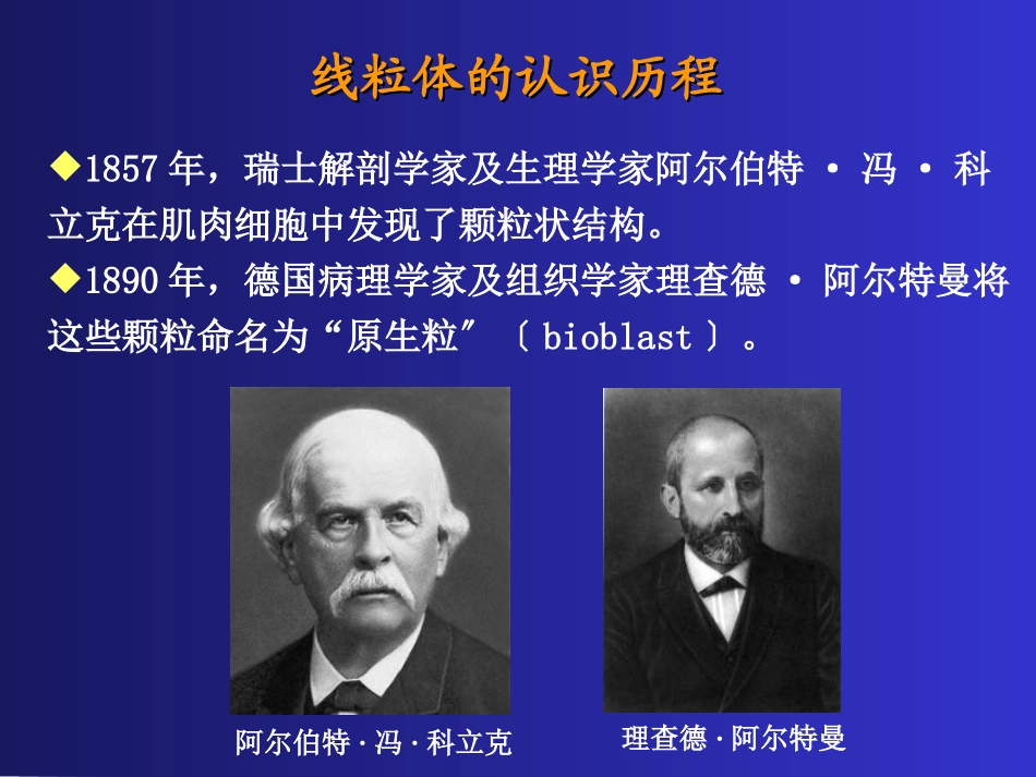 线粒体与疾病_第2页