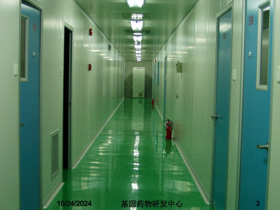 腺病毒载体工艺平台_第3页