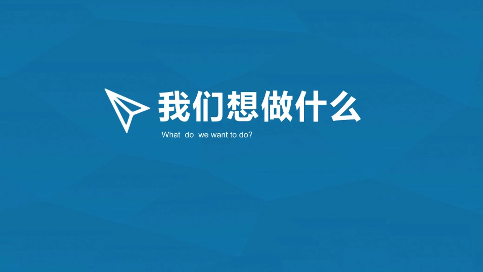 乡村电商项目报告_第2页