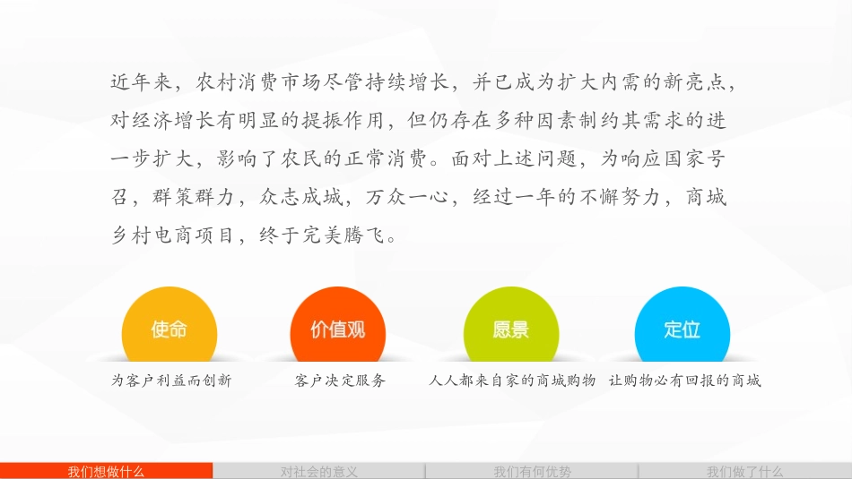 乡村电商项目报告_第3页