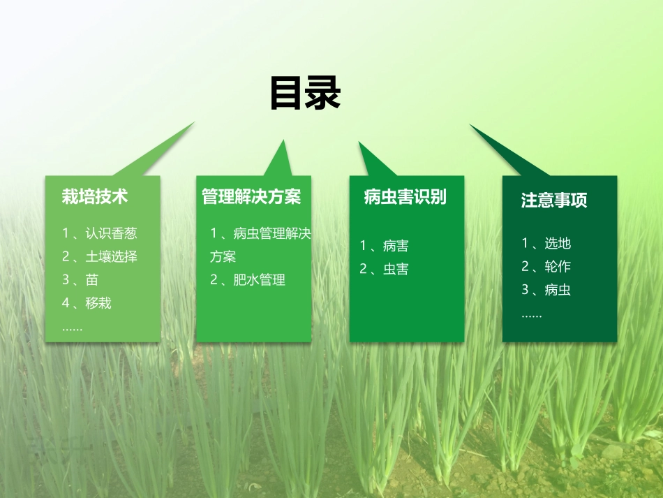 香葱病虫害管理技术病虫害解决方案_第2页