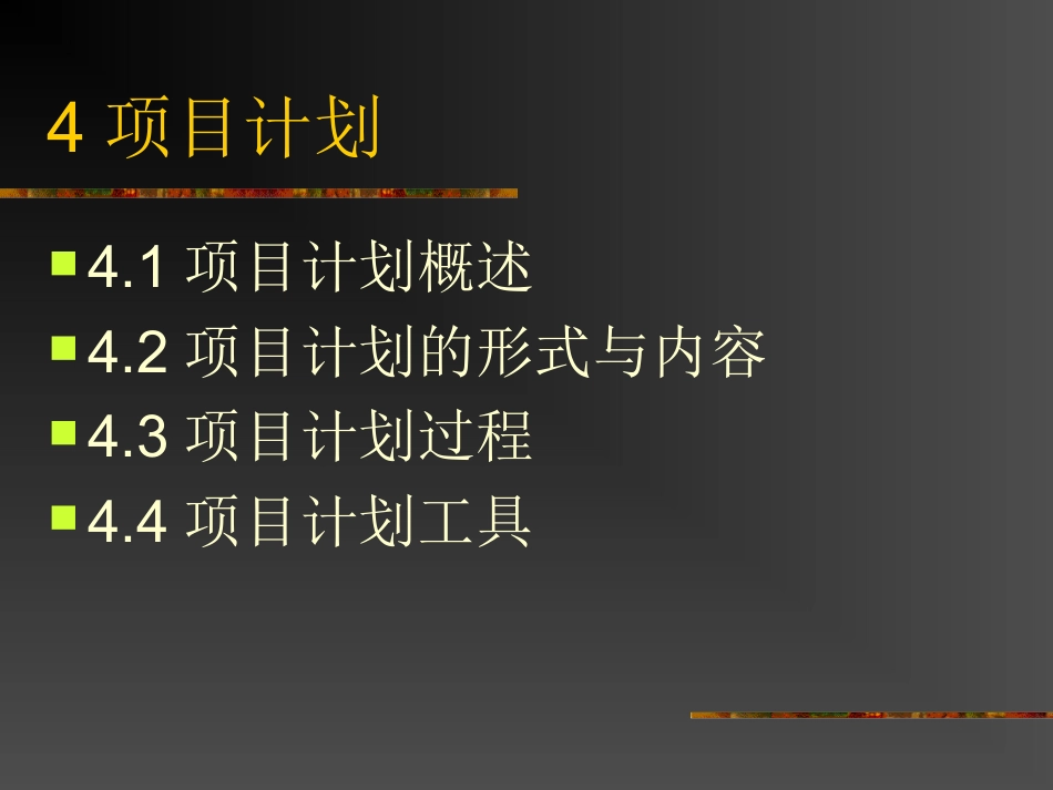 项目计划项目计划过程_第1页