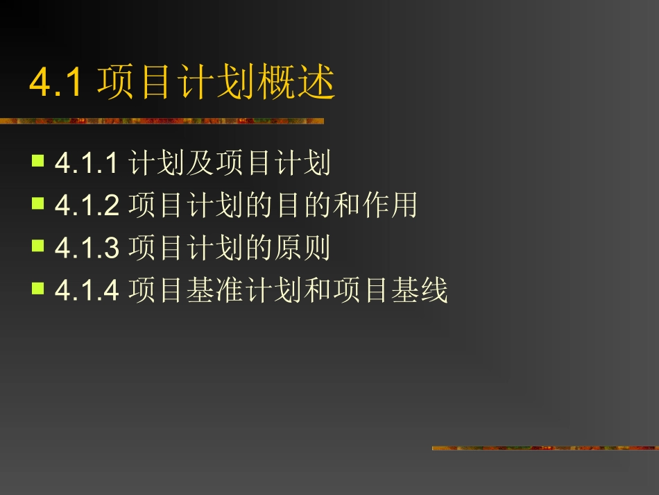 项目计划项目计划过程_第2页