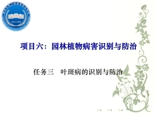 项目六园林植物病害识别与防治叶斑病的发生与防治