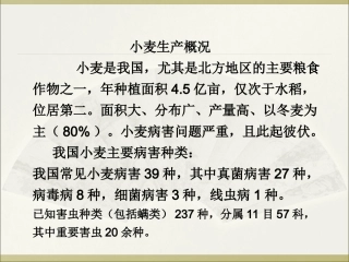 小麦主要病虫害分析