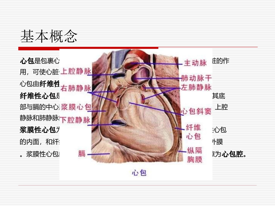 心包填塞详解_第2页