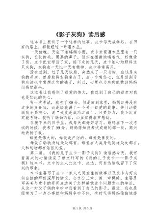 影子灰狗读后感