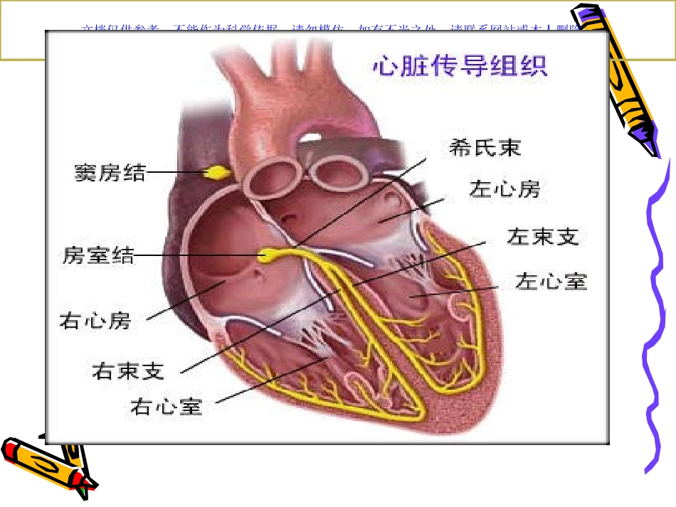 心电图基本知识课件_第2页