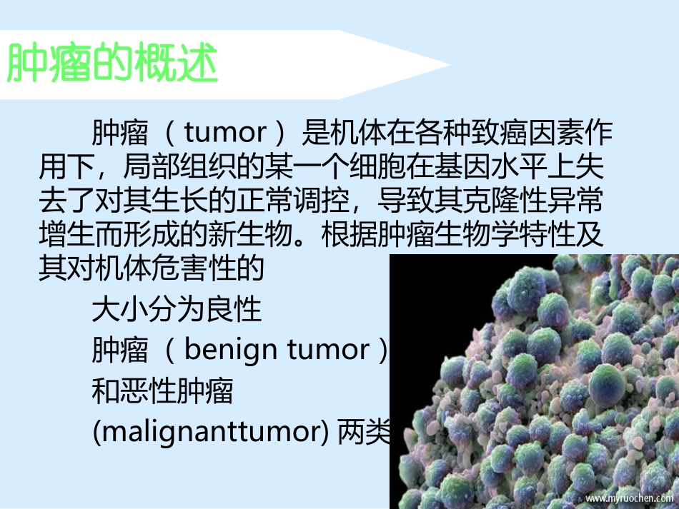 心理学肿瘤病人的心理特点与心理护理_第3页