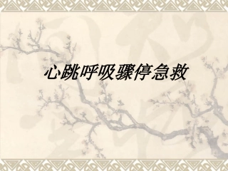 心跳呼吸骤停急救讲义
