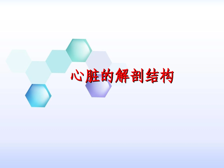 心脏的解剖结构及传导系统_第3页