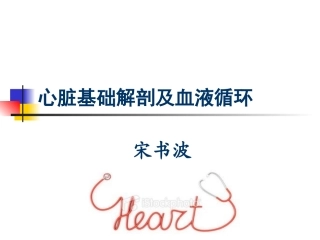心脏基础解剖