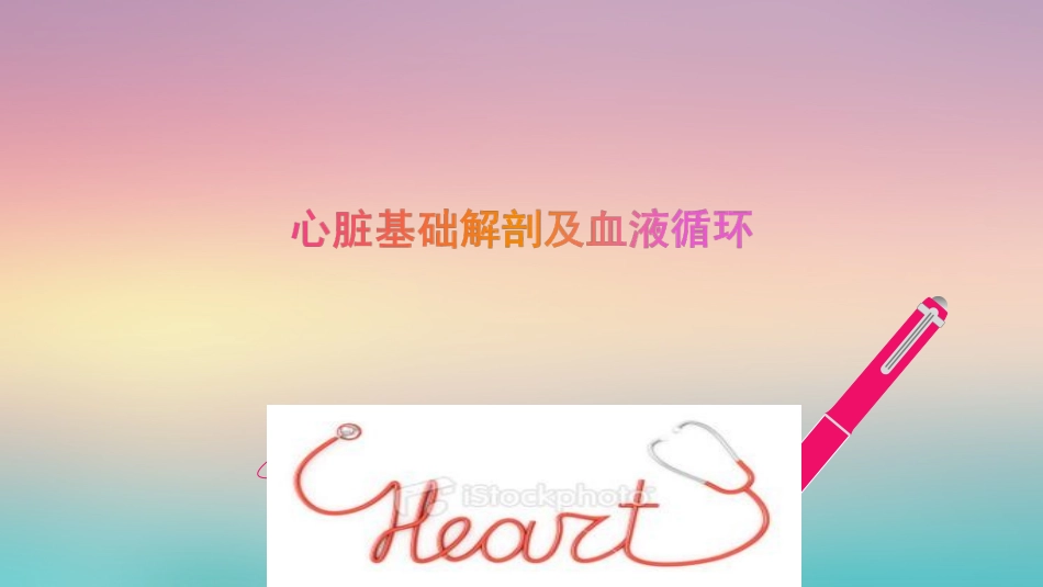 心脏基础解剖课件_第1页