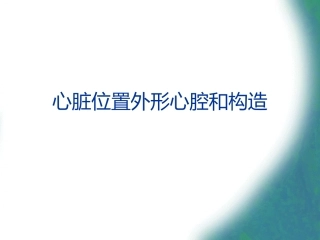 心脏位置外形心腔和构造