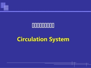 心脏以及循环系统的进化