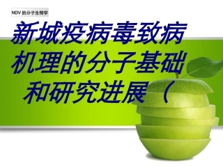 新城疫病毒致病机理的分子基础和研究进展(培训课件