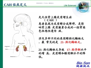 新生儿疾病筛查皮质肾上腺