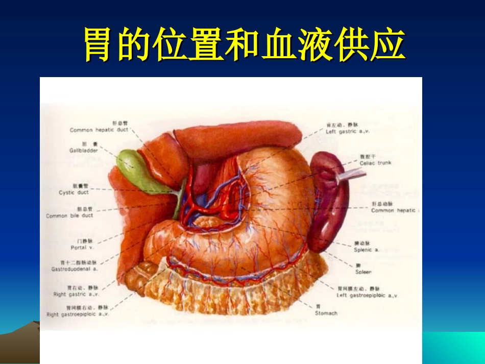 新胃十二指肠溃疡及并发症_第3页