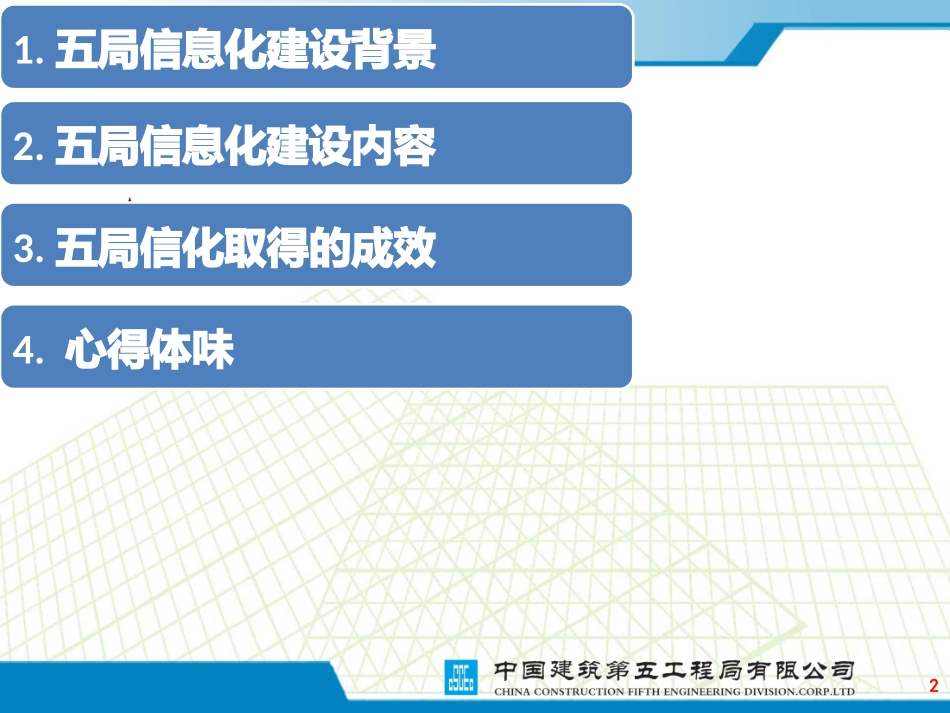 信息化经验分享_第2页