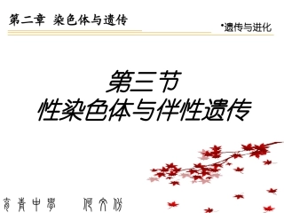 性染色体与伴性遗传