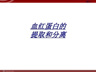 血红蛋白的提取和分离讲义