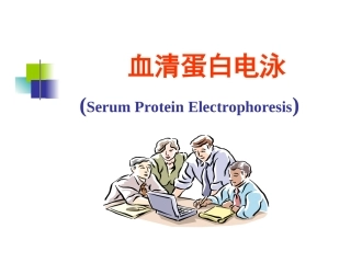 血清蛋白电泳