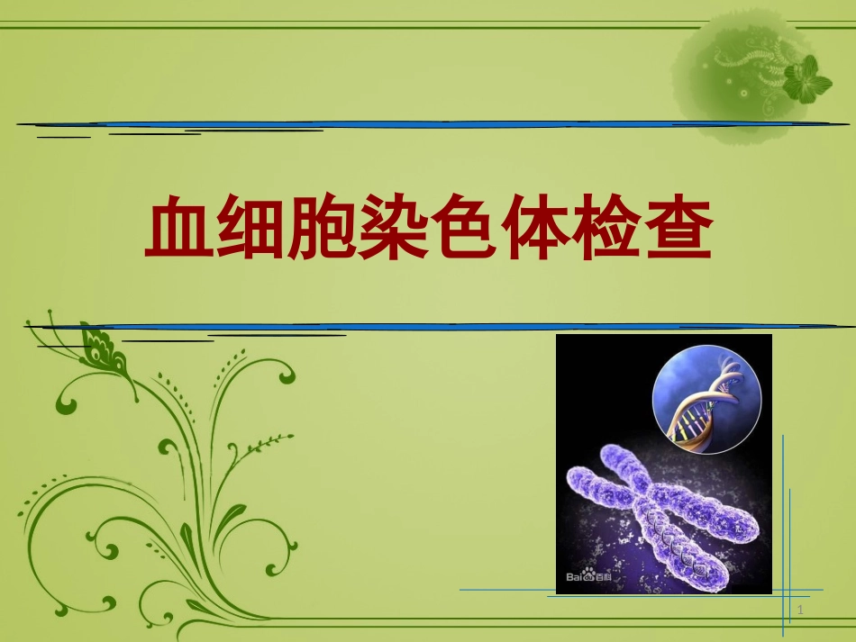 血细胞染色体检查_第1页
