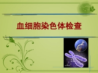 血细胞染色体检查