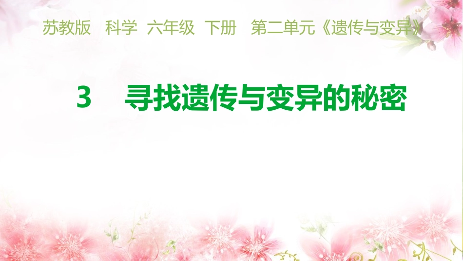 寻找遗传与变异的秘密_第1页