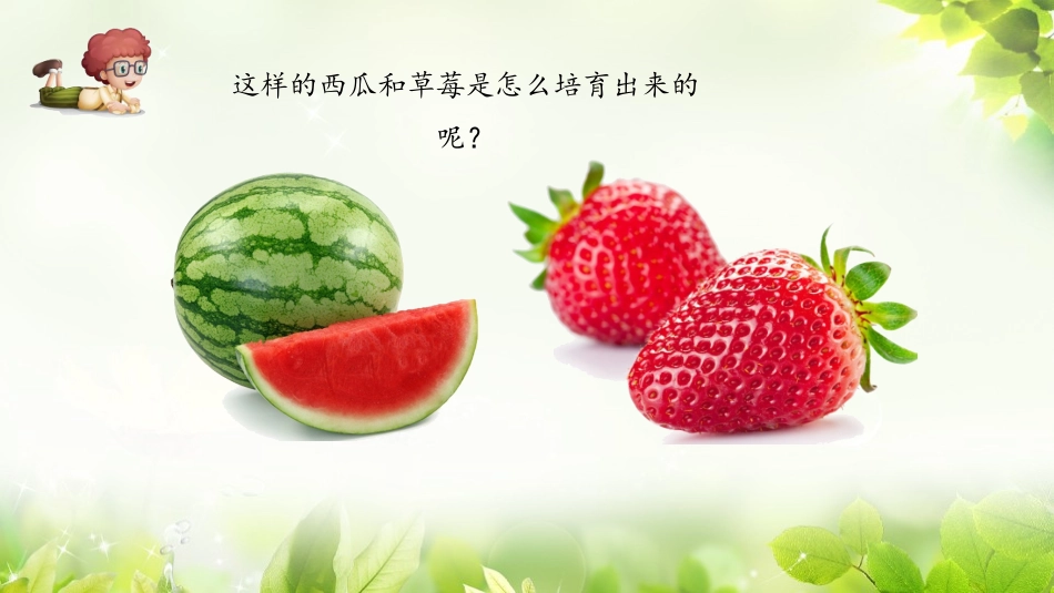 寻找遗传与变异的秘密_第2页