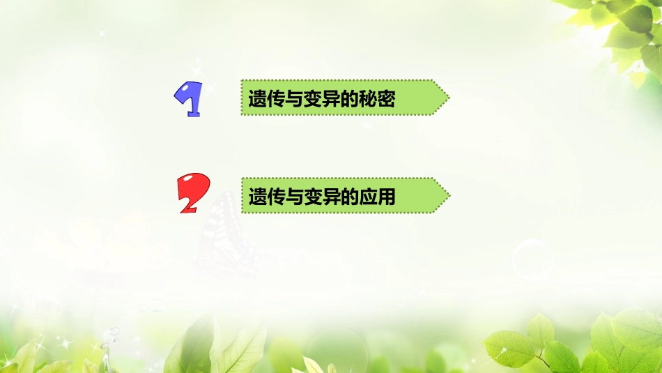 寻找遗传与变异的秘密_第3页