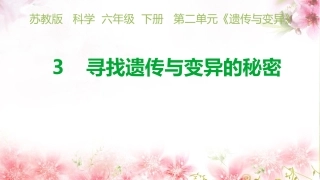 寻找遗传与变异的秘密