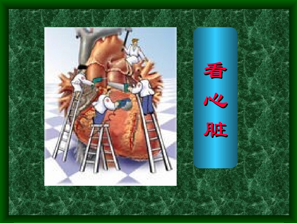 循环系统疾病总论_第3页