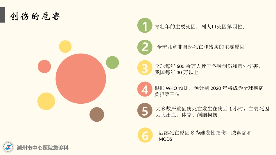 严重创伤的急诊管理_第2页