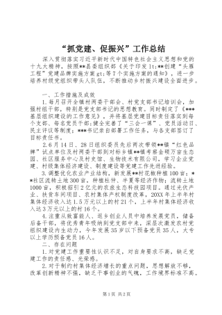 抓党建促振兴工作总结