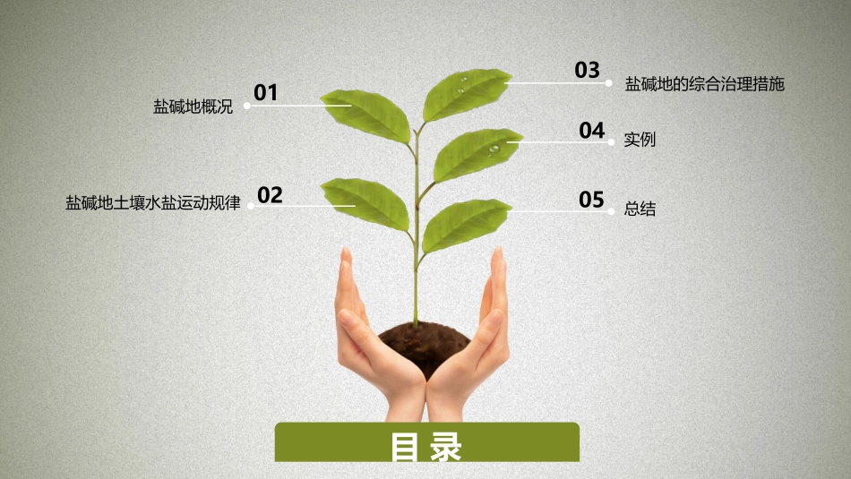 盐碱地土壤修复_第2页