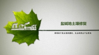 盐碱地土壤修复