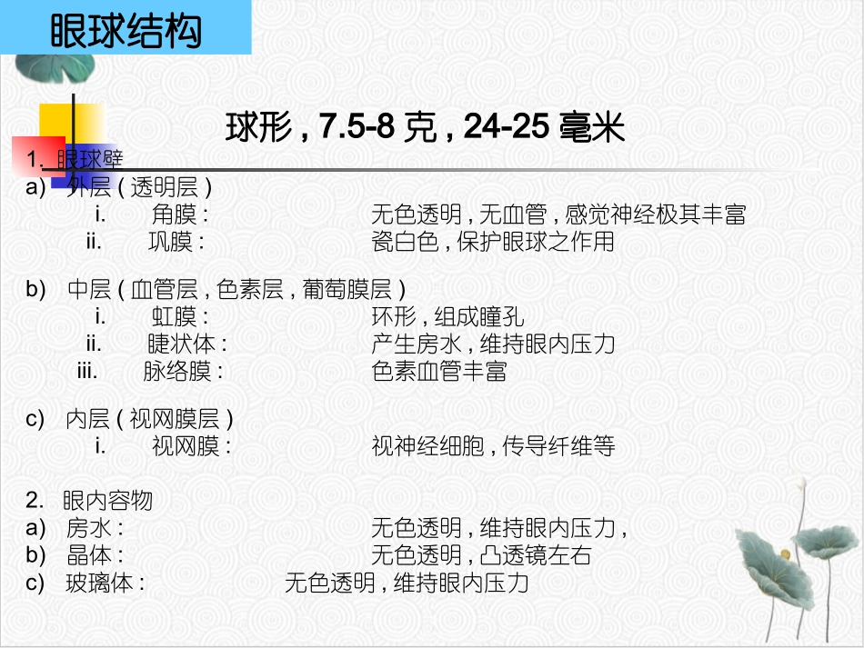 眼部护理及保养常识_第1页