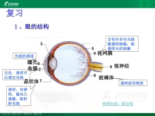 眼的成像原理视力矫正课件学案