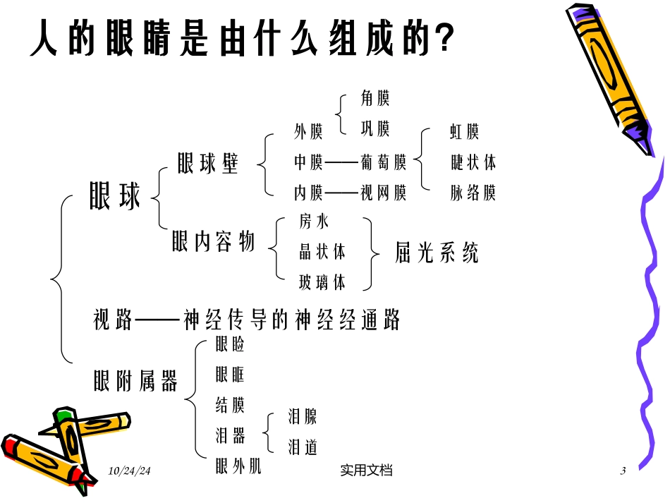 眼科基础知识课件_第3页