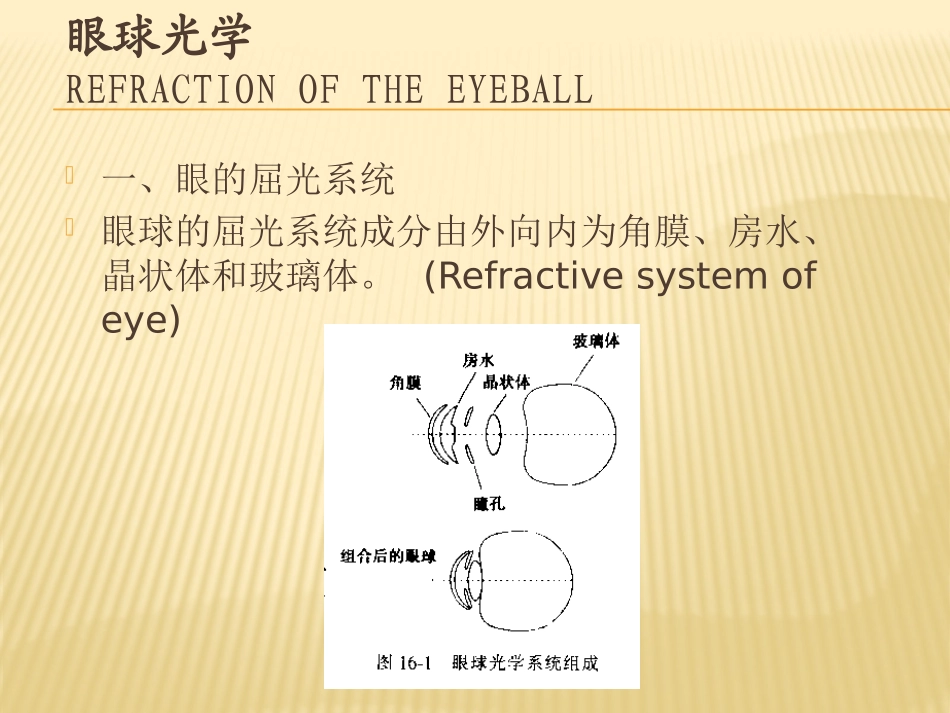 眼科学课件屈光眼肌_第3页