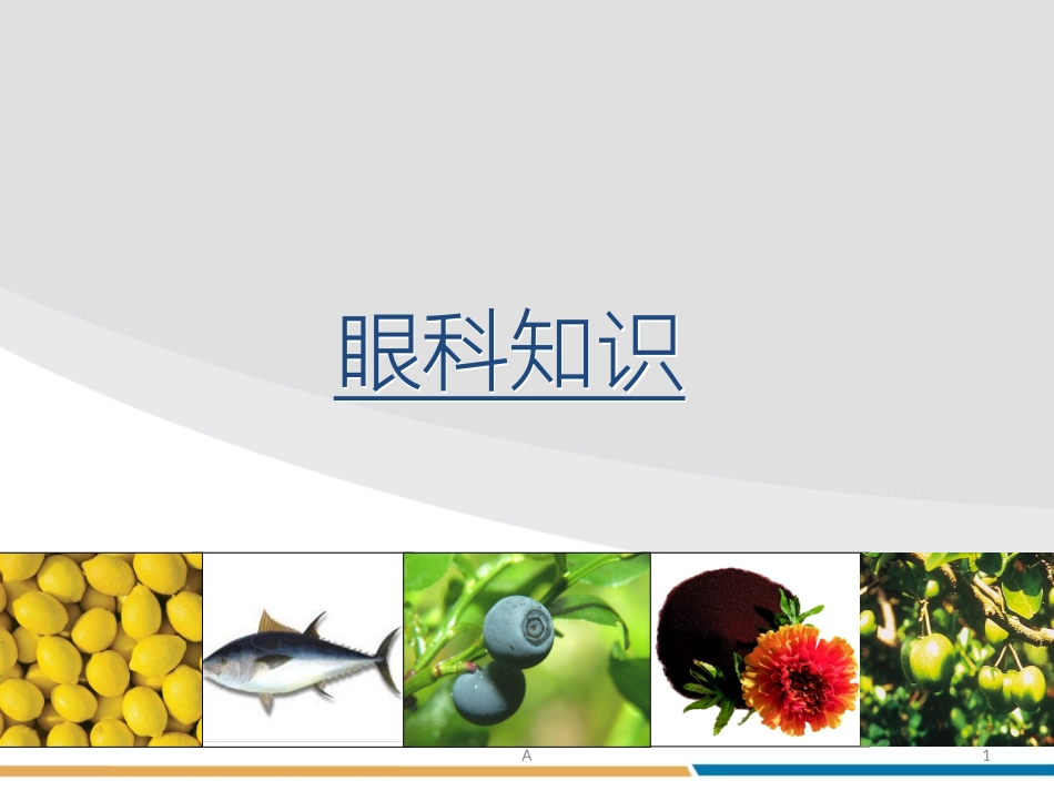 眼科知识及保养_第1页