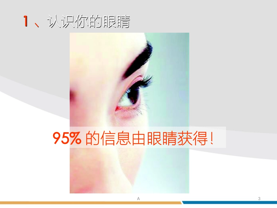 眼科知识及保养_第3页