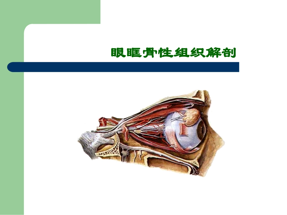 眼眶骨性解剖及临床_第2页