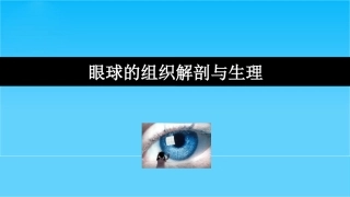 眼球的组织解剖与生理