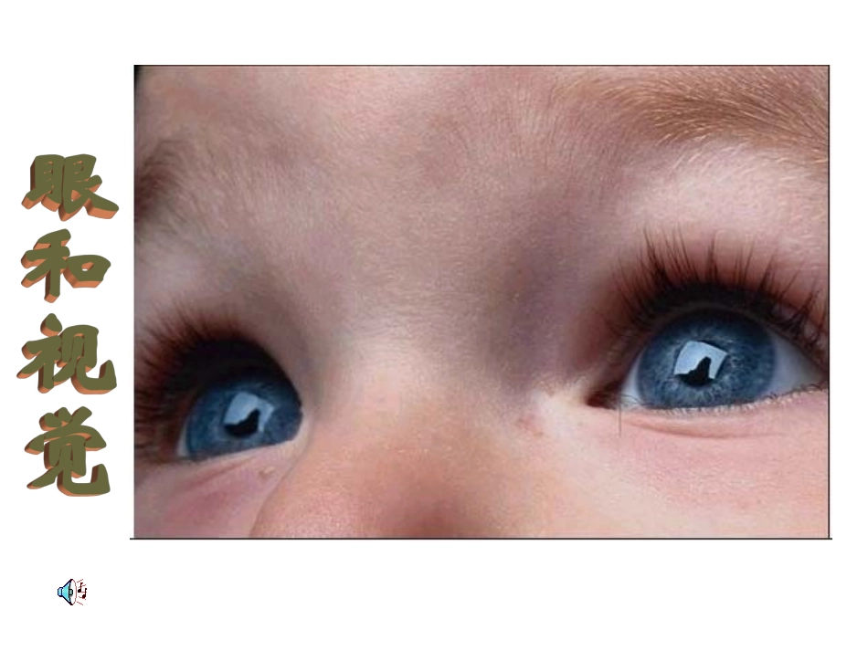 眼球结构及视觉_第1页