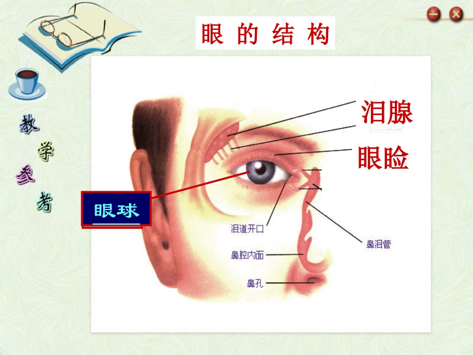 眼球结构及视觉_第2页
